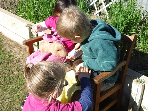 Children with the guinea pig